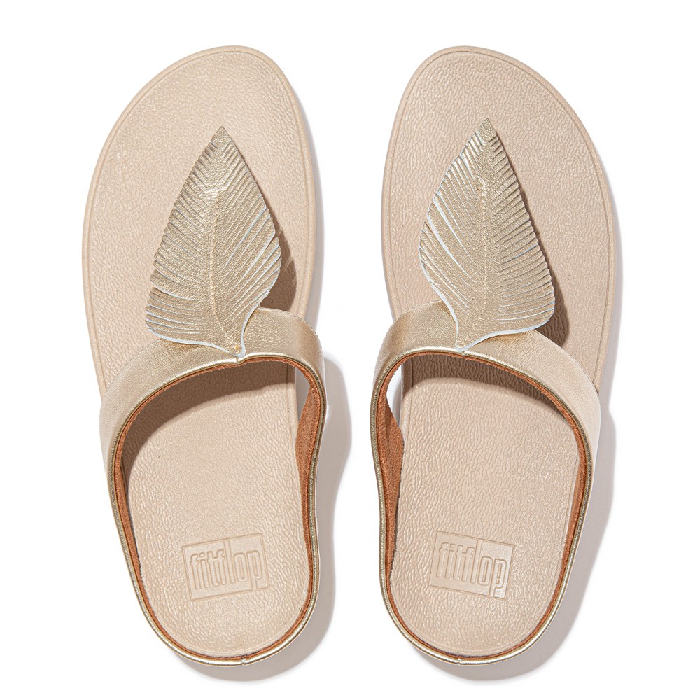 Fitflop Womens Sandals Gold - Fino Feather Metallic Toe-post - 79QNTZAHW